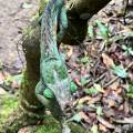 small_img_3834.jpg