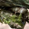 small_img_3837.jpg