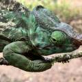 small_img_3838.jpg