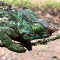 small_img_3839.jpg