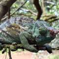 small_img_3841.jpg