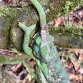small_img_3844.jpg