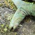 small_img_3845.jpg