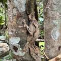 small_img_3847.jpg