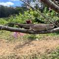 small_img_3849.jpg