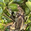 small_img_3853.jpg