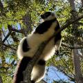 small_img_3860.jpg