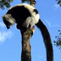 small_img_3862.jpg
