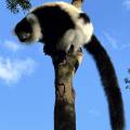 small_img_3863.jpg