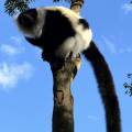 small_img_3864.jpg