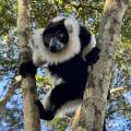 small_img_3868.jpg