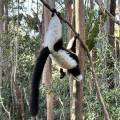 small_img_3875.jpg