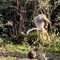 small_img_3894.jpg