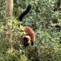 small_img_3897.jpg