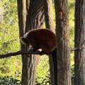 small_img_3898.jpg