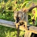 small_img_3921.jpg