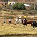 small_img_3988.jpg