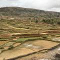 small_img_4074.jpg