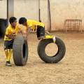 small_img_4103.jpg