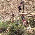 small_img_4151.jpg
