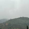 small_img_4159.jpg