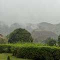 small_img_4162.jpg