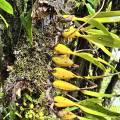 small_img_4168.jpg