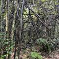 small_img_4169.jpg