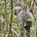 small_img_4173.jpg