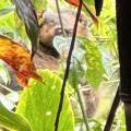 small_img_4177.jpg