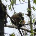 small_img_4184.jpg