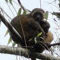 small_img_4185.jpg
