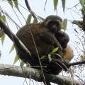 small_img_4187.jpg
