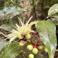 small_img_4191.jpg