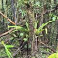 small_img_4192.jpg