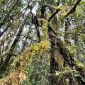 small_img_4193.jpg