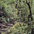 small_img_4198.jpg