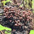 small_img_4202.jpg