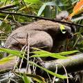 small_img_4208.jpg