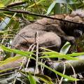 small_img_4209.jpg
