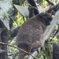 small_img_4216.jpg