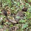 small_img_4230.jpg