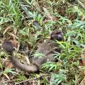 small_img_4232.jpg