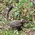 small_img_4233.jpg