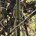 small_img_4238.jpg