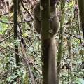small_img_4241.jpg