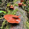 small_img_4253.jpg