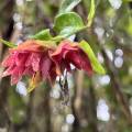 small_img_4257.jpg