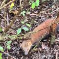 small_img_4275.jpg