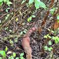 small_img_4277.jpg
